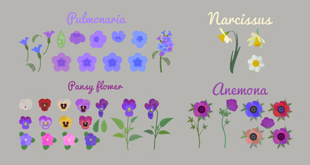 set cartoon narcissus. Pansy flowers. Pulmonaria flowers. set of flowers Anemone, spring flowers collectionのイラスト素材