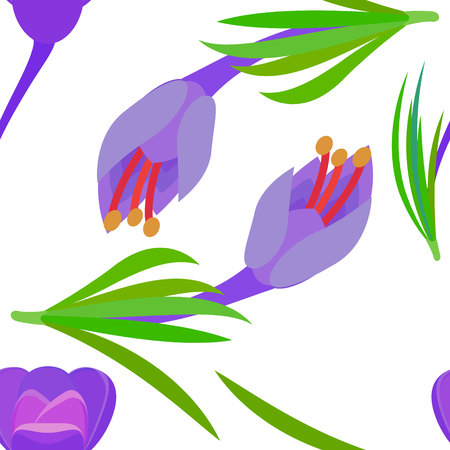 pattern with Crocus and yellow circles Violet flowers with green leaves. Spring flowersのイラスト素材