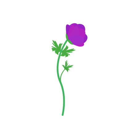 flower Anemone, pink spring flower with stem and leaves side viewのイラスト素材