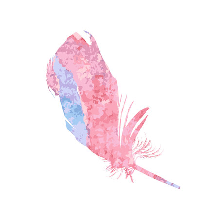 pen feather. Rainbow splash paintのイラスト素材