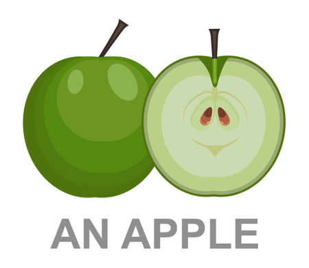 An Apple icon entirely and in a cut. vector apple illustration isolated - healthy fresh fruit symbol, natural signのイラスト素材