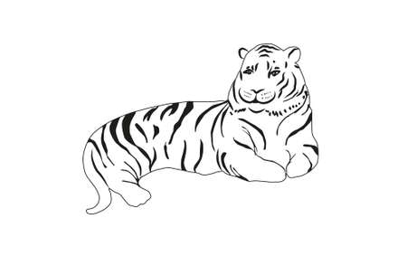 Hand drawing tiger illustration vector.のイラスト素材