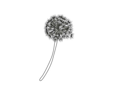 Blow Dandelion on white background.のイラスト素材