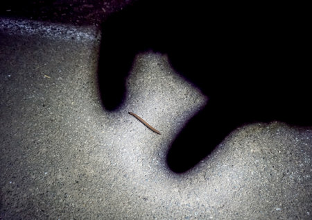 The shadow of a man's hand on the concrete floor. Selective focus.