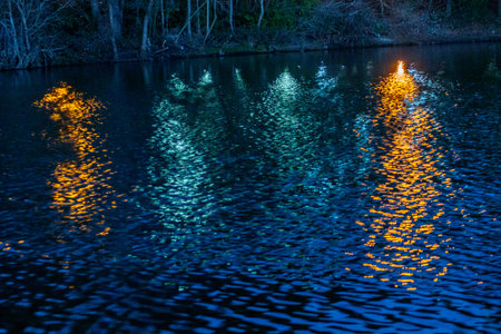 Reflection of the light on the water at night in the park