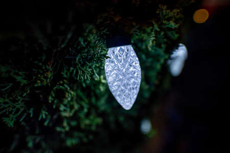 Christmas lights on the branches of a coniferous tree. Christmas decoration
