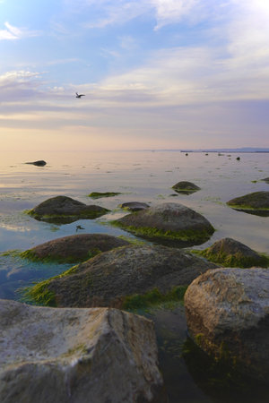 Sunset on the coast of the Baltic sea in summer. Captured in Pirita, Tallinn, Estonia during the White Nights season.の写真素材
