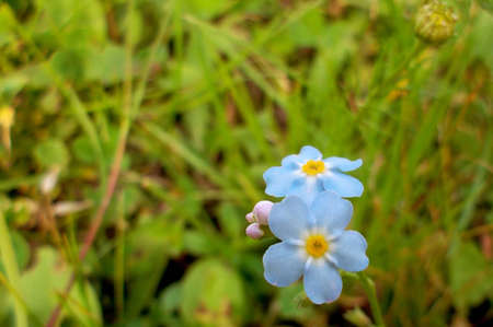 Blue oneの写真素材