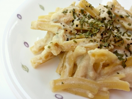 Sour cream pasta closeupの素材
