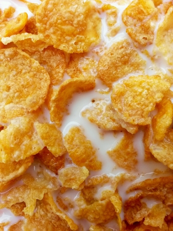 Corn cereal with milkの素材