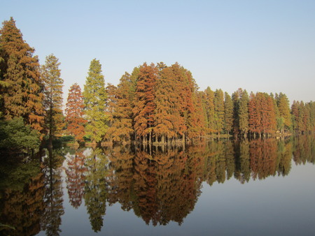 Autumnの写真素材
