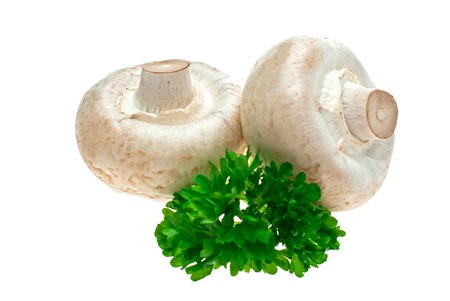 Champignons shot in the studio on a white background の写真素材