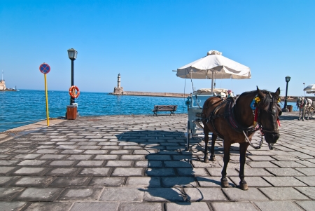 Horse carriage on the waterfront of the city of Chania  Crete の写真素材