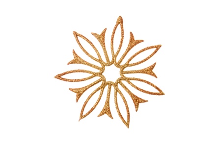 Decorative flower shot in the studio on a white background の写真素材