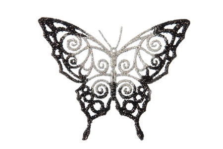 Decorative butterfly shot in the studio on a white background の写真素材