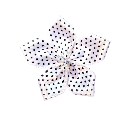 Fabric flower white color isolated on white background の写真素材
