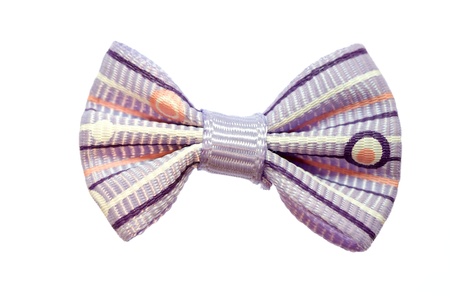 Blue bow isolated on white background の写真素材