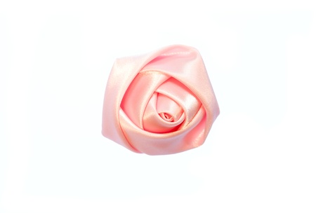 pink  flower  isolated on white background の写真素材