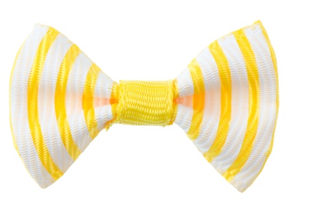 Holiday ribbon bow isolated on white background の写真素材