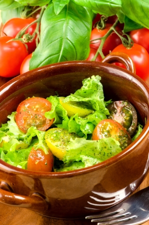 Salad of fresh vegetables の写真素材