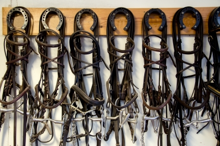 Accessories for equestrian sports の写真素材