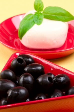 Italian mozzarella cheese with basil on a plate の写真素材