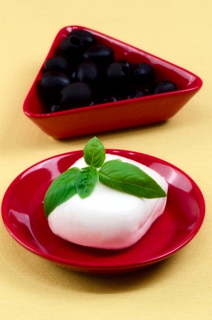 Italian mozzarella cheese with basil on a plate の写真素材