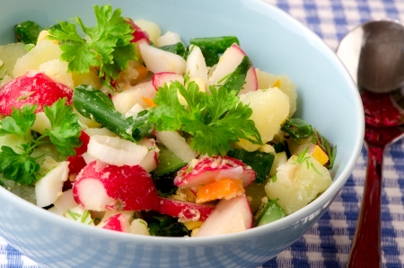 Summer salad of fresh vegetablesの写真素材