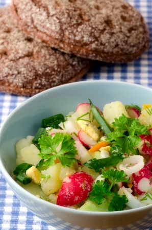 Summer salad of fresh vegetablesの写真素材