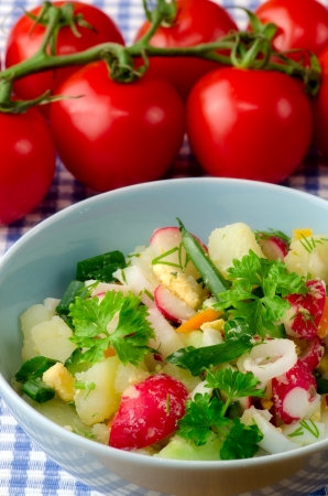 Summer salad of fresh vegetablesの写真素材