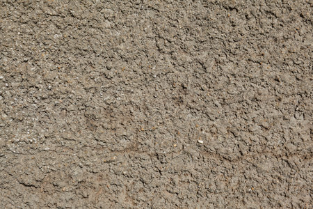 Close up texture of a brown plaster wall, sunny lightの写真素材