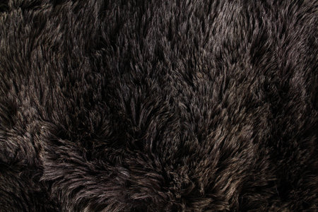 furry textureの写真素材