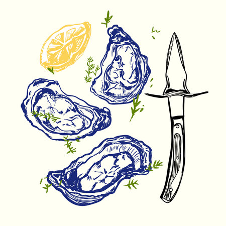 A hand-drawn seafood illustration featuring three open oysters, a lemon wedge, herbs, and a shucking knife. Rendered in a vintage sketch style with bold line work.のイラスト素材