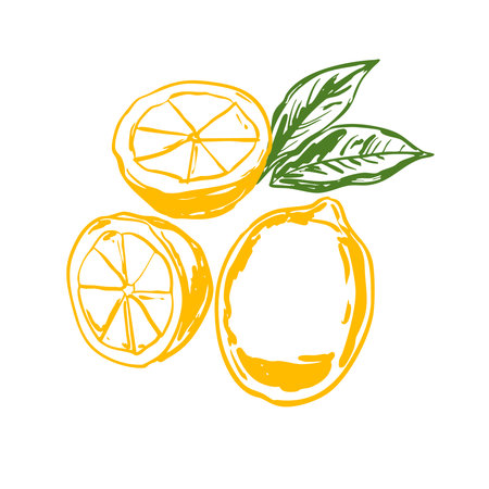 Minimalist yellow lemon set with leaves in a clean modern style. Great for citrus designs, healthy food, kitchen art, summer themes, packaging, prints, and digital projects.のイラスト素材