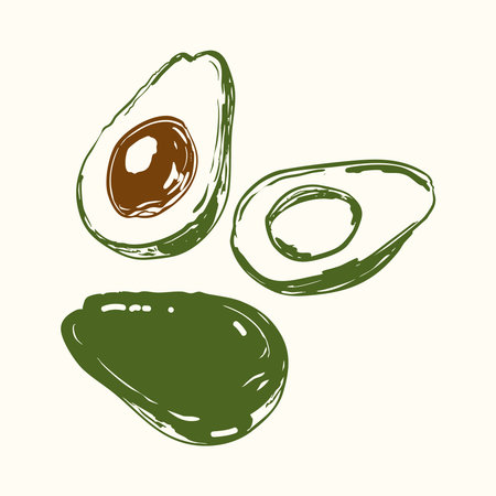 Hand-drawn avocado set featuring whole and sliced fruit in a fresh, organic style. Perfect for healthy food designs, kitchen art, packaging, vegan recipes, and nutrition graphic.のイラスト素材
