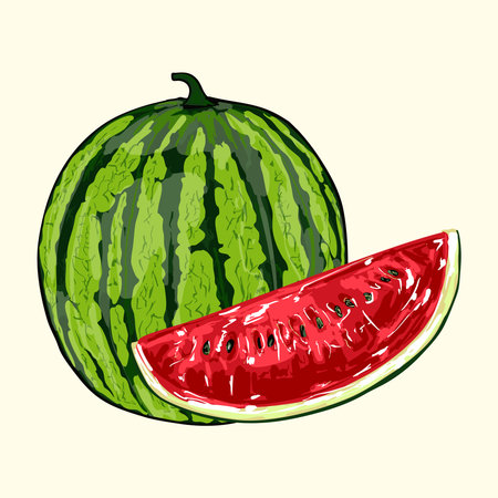 Detailed watermelon illustration showing whole fruit and slices. Perfect for summer designs, juice packaging, farming graphics, kitchen decor.のイラスト素材