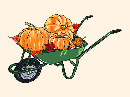 Charming vintage fall illustration of pumpkins in a green wheelbarrow surrounded by autumn leaves.のイラスト素材