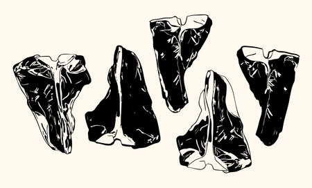 Vintage black T-bone steak cut illustration with strong marbling and bone detail.のイラスト素材