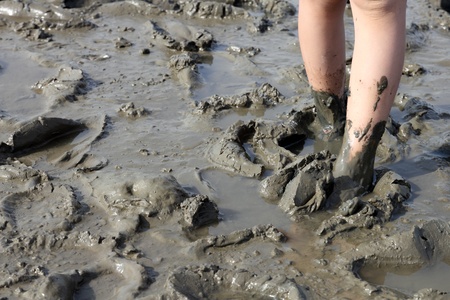 muddy feet in the tideland at the seashoreの写真素材