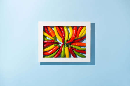 Flat lay red, yellow, green and orange peppers in the frame on blue background. Top view.