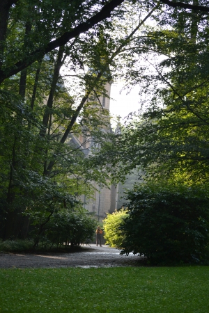 gardenの写真素材