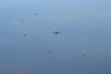 waterの写真素材