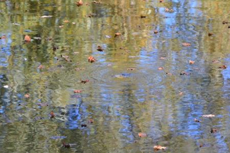 waterの写真素材
