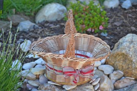 basketの写真素材