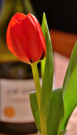 flowerの写真素材