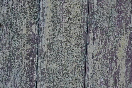 wood textureの写真素材