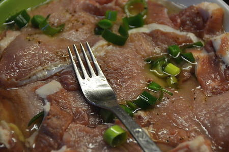 meatの写真素材
