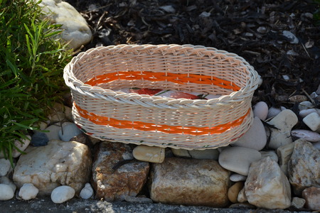 basketの写真素材