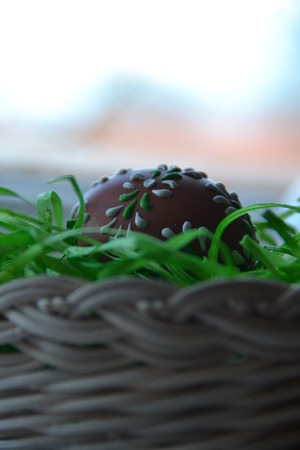 egg