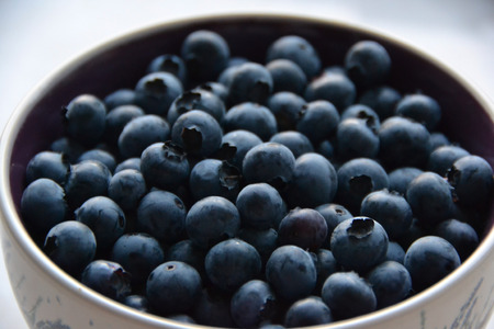 The blueberriesの写真素材